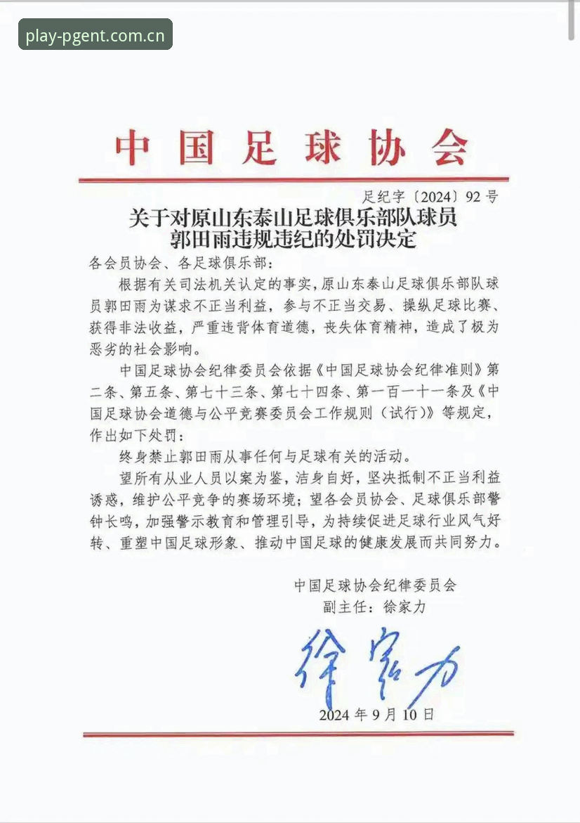 中国足协第三批禁足名单深度评测：17人终身禁赛背后的行业震荡